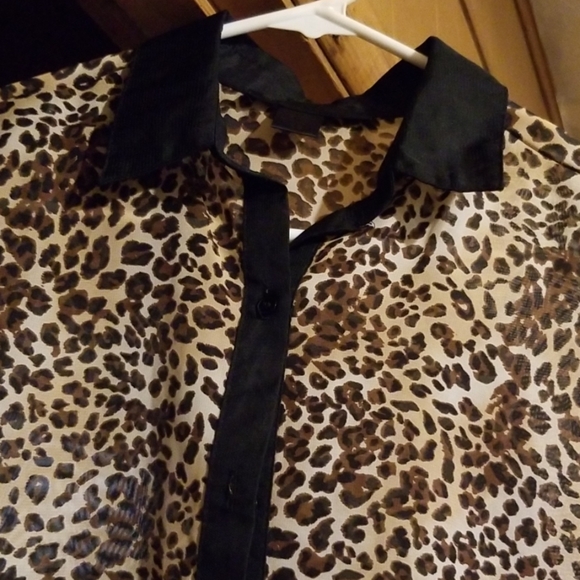 Collared button down - Picture 2 of 2